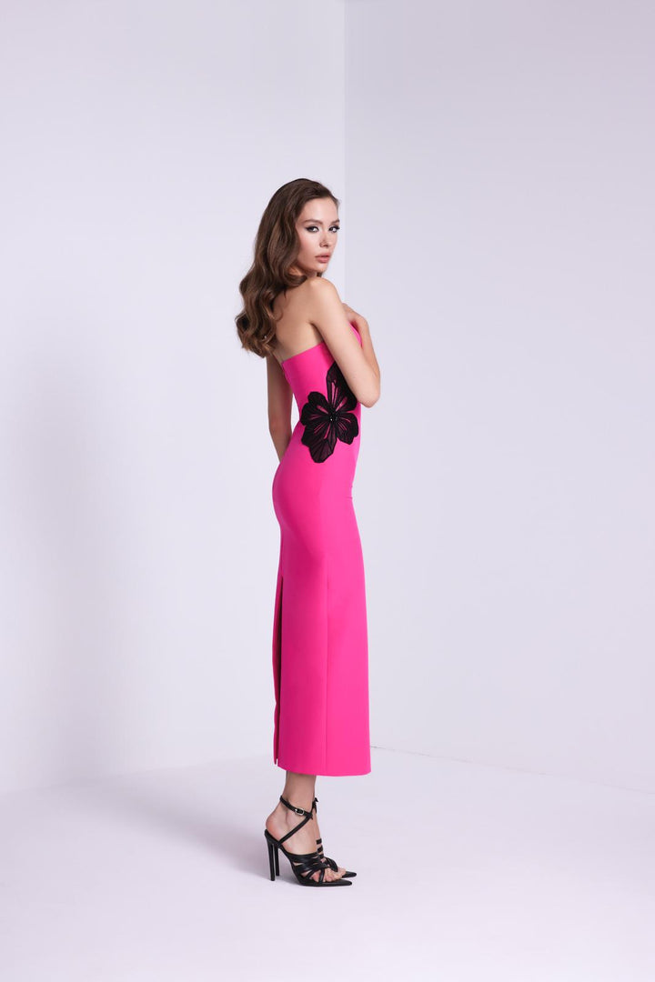 Nour Fathallah 586